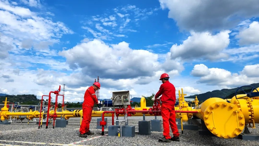 图片6.png 图片6.png